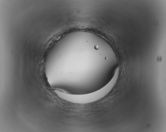 X0000112361349200909101246