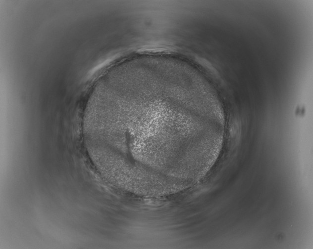 X0000112361350200909101246