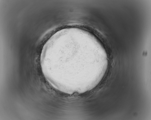 X0000112361351200909101246