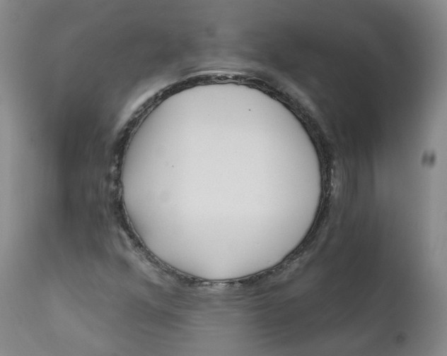X0000112361352200909101246