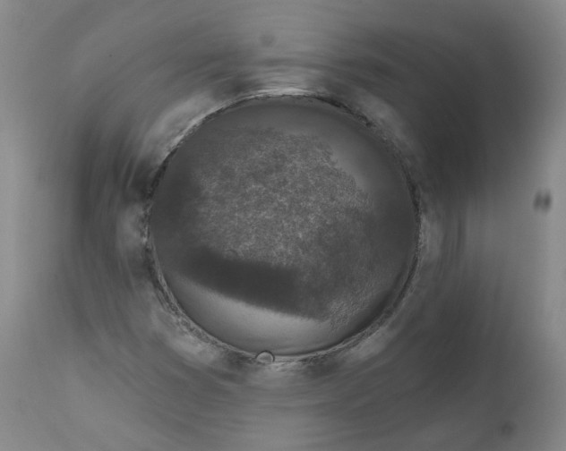 X0000112361353200909101246