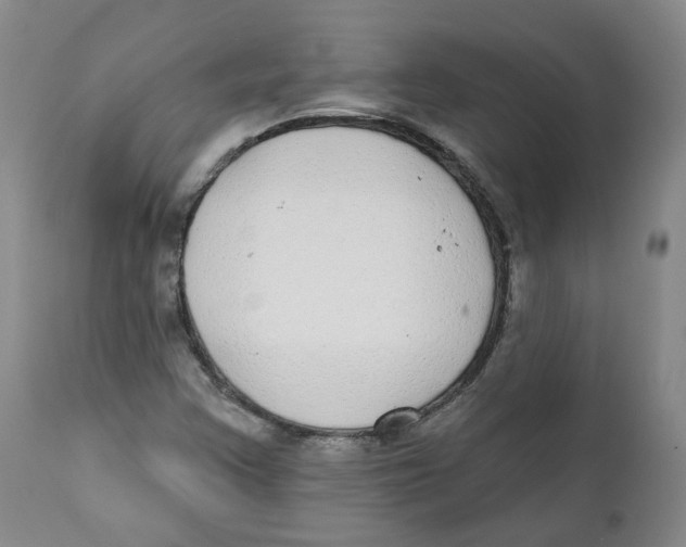 X0000112361355200909101246