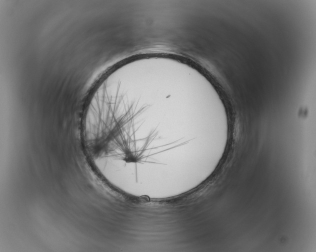 X0000112361356200909101246