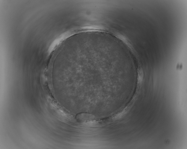 X0000112361357200909101246