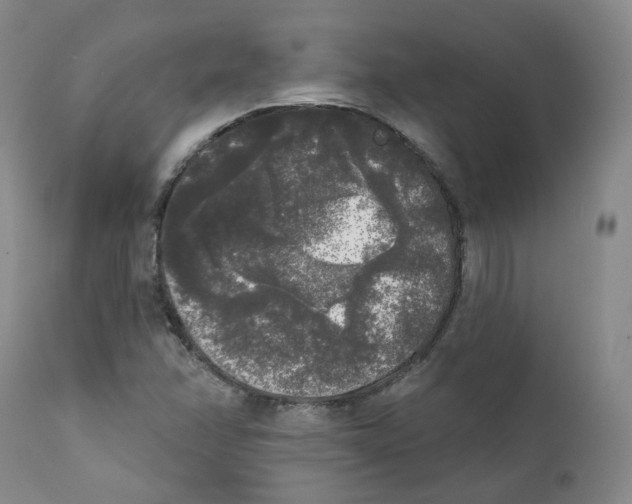 X0000112361358200909101246