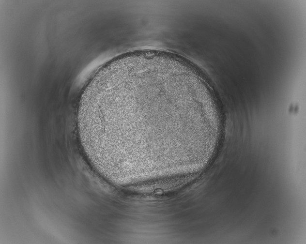 X0000112361359200909101246