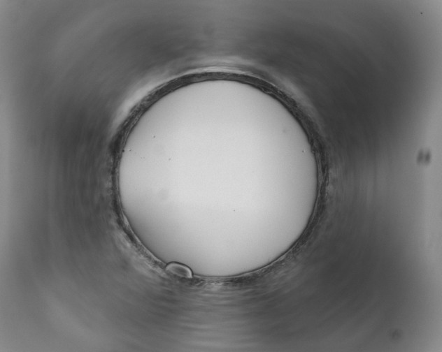 X0000112361360200909101246