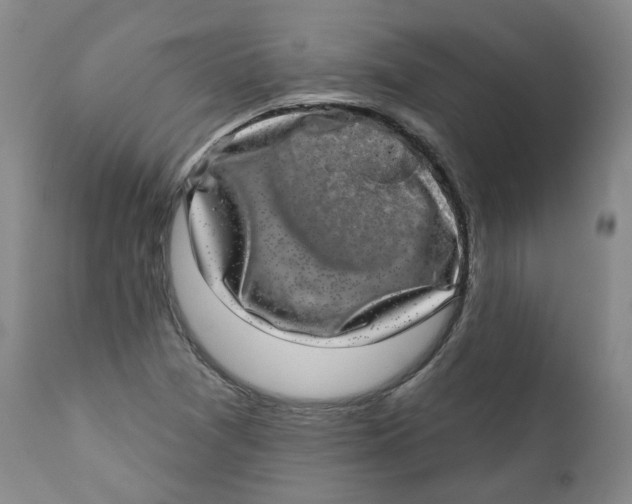 X0000112361361200909101246