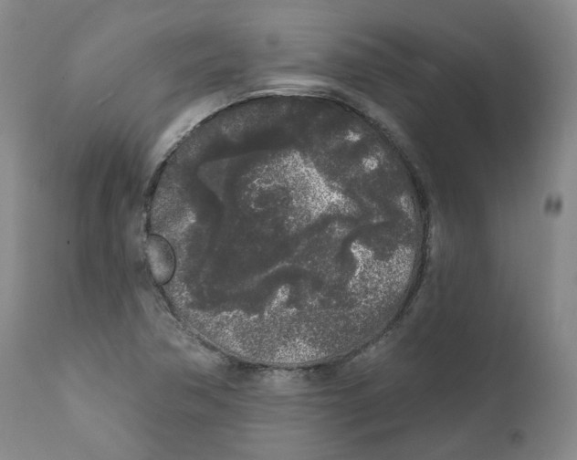 X0000112361362200909101246