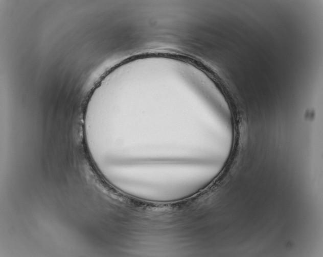 X0000112361363200909101246