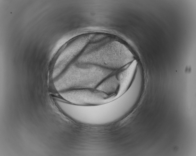 X0000112361365200909101246