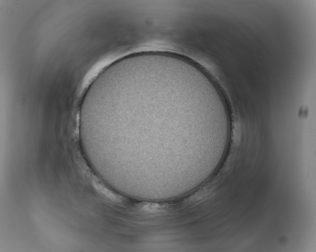 X0000112361366200909101246
