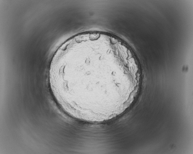 X0000112361367200909101246
