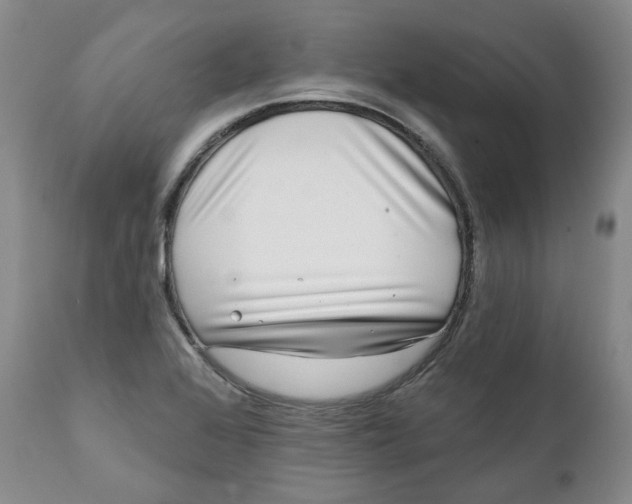 X0000112361368200909101246