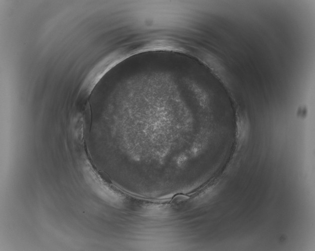 X0000112361369200909101246