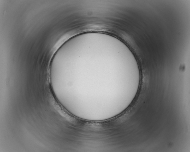 X0000112361370200909101246