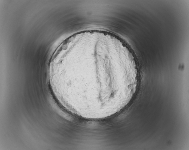 X0000112361371200909101246