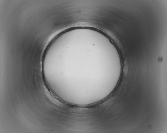 X0000112361372200909101246