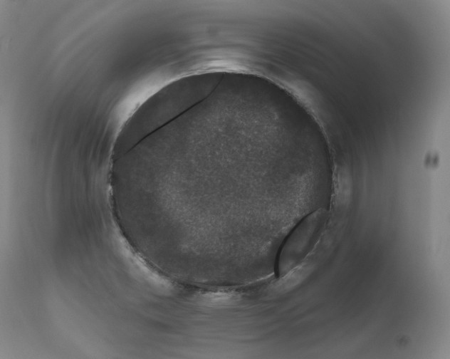X0000112361373200909101246