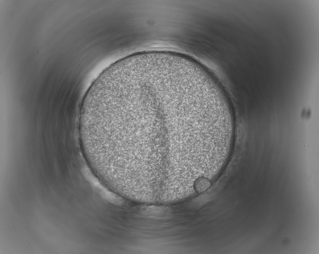 X0000112361374200909101246