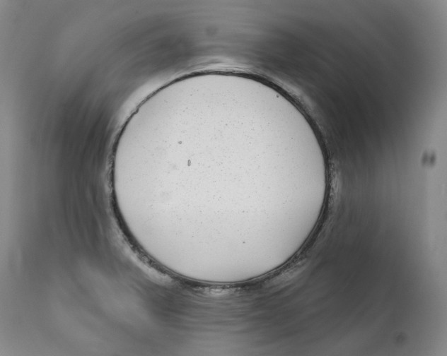 X0000112361375200909101246