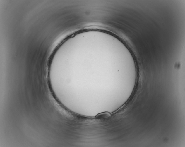 X0000112361376200909101246