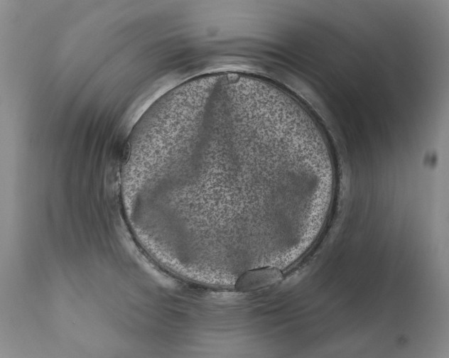 X0000112361377200909101246