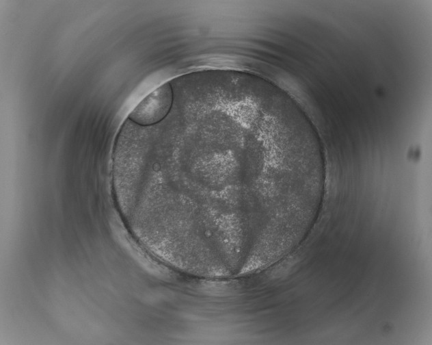 X0000112361378200909101246