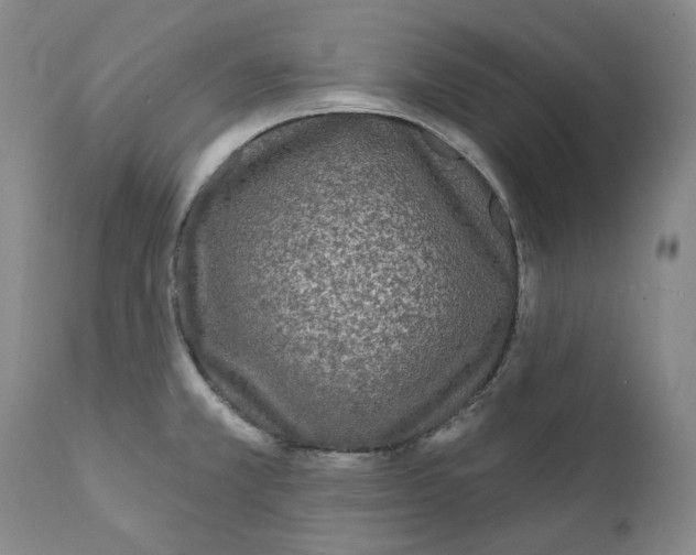 X0000112361381200909101246