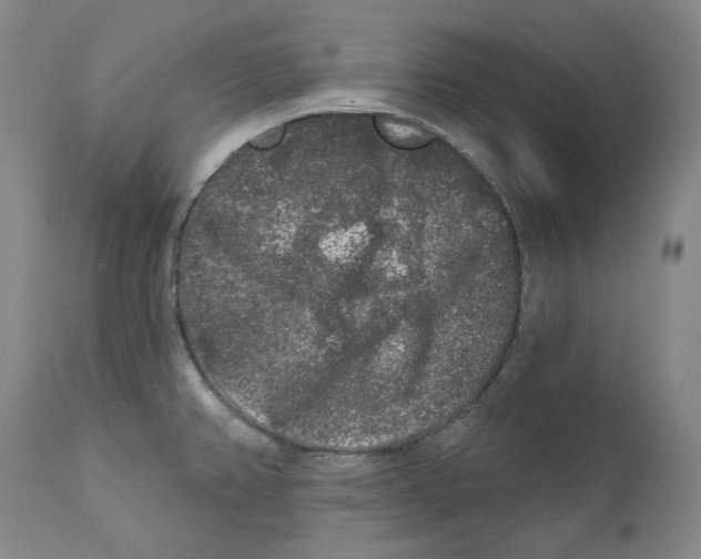 X0000112361382200909101246