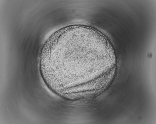 X0000112361383200909101246