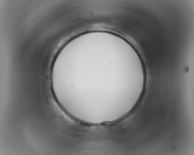 X0000112361384200909101246