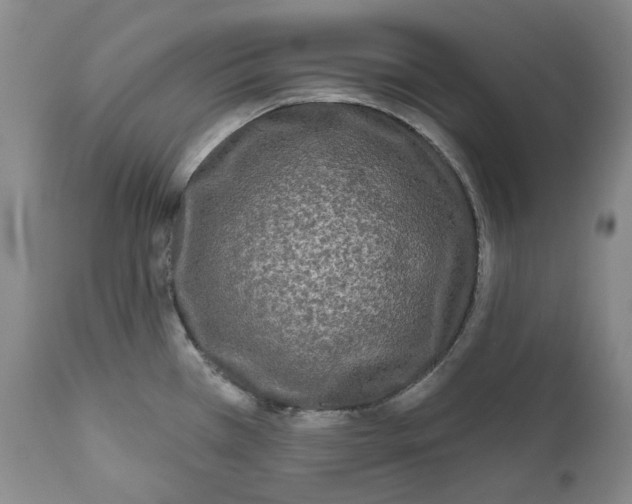 X0000112361385200909101246