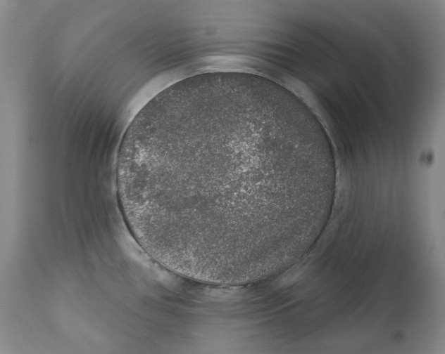 X0000112361386200909101246