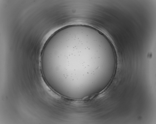 X0000112361388200909101246
