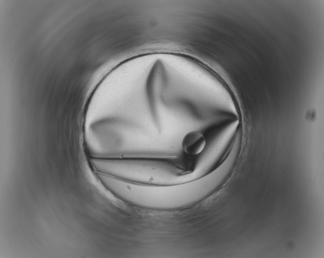 X0000112361389200909101246