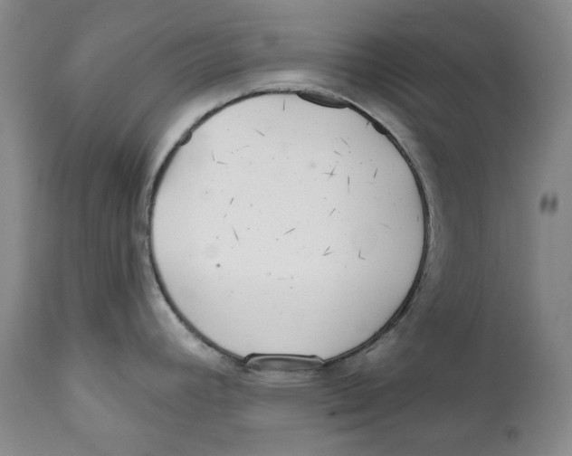 X0000112361392200909101246