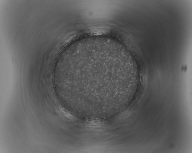 X0000112361393200909101245