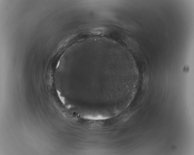 X0000112361394200909101245