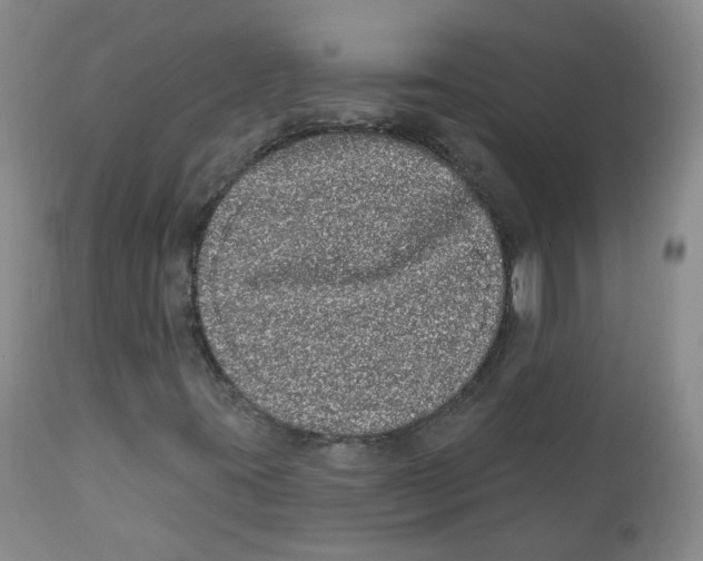 X0000112361395200909101245