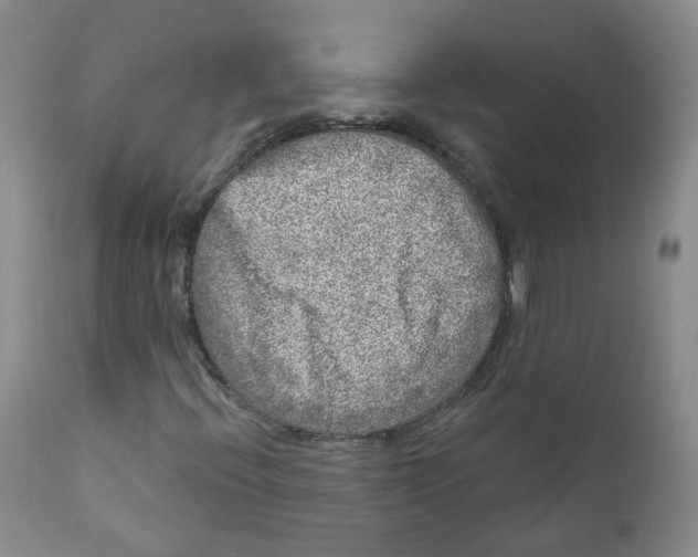 X0000112361396200909101245