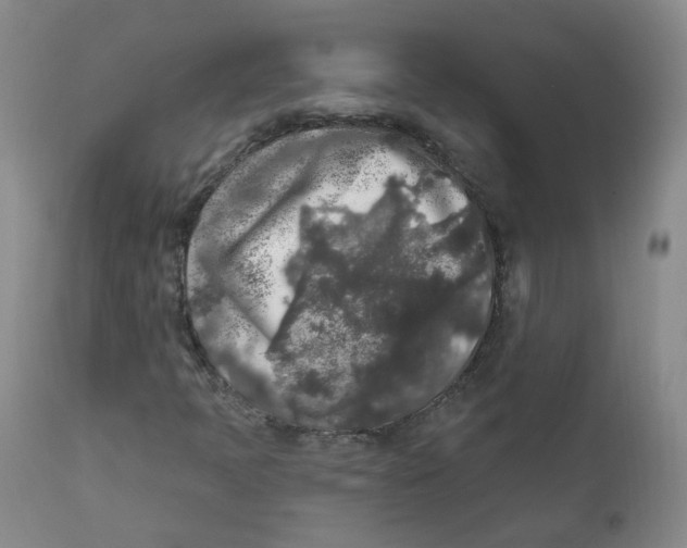 X0000112361397200909101245