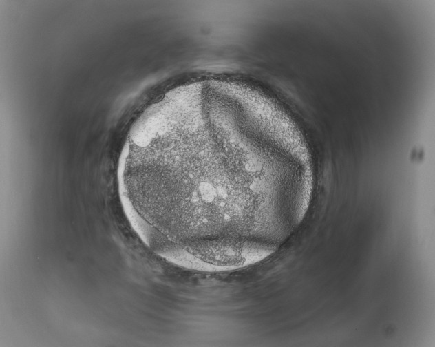 X0000112361398200909101245