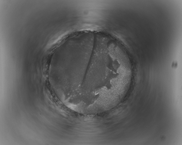 X0000112361399200909101245