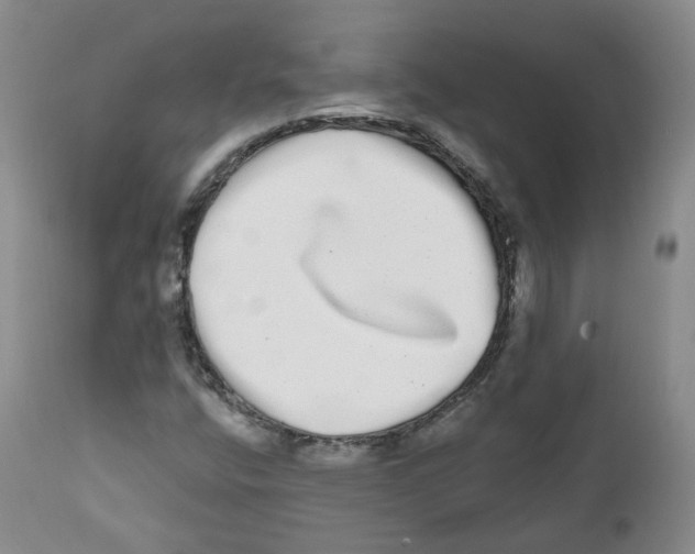 X0000112361400200909101245