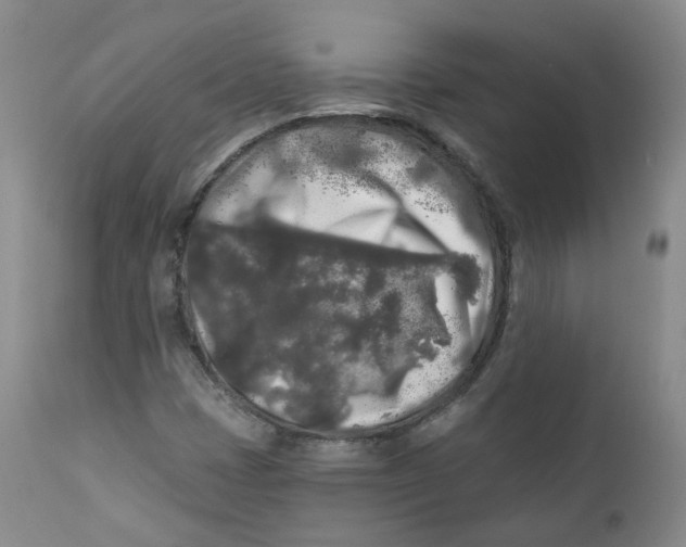 X0000112361401200909101245