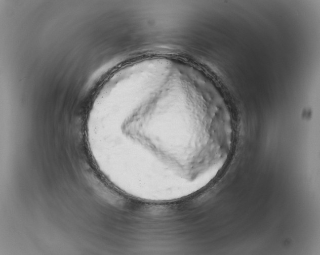 X0000112361402200909101245