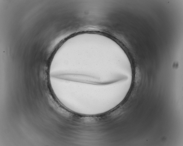 X0000112361404200909101245