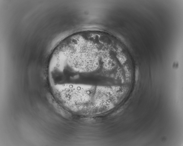X0000112361405200909101245
