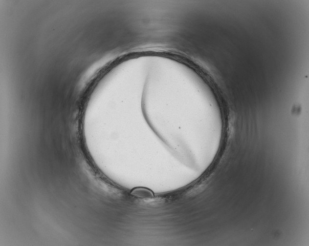 X0000112361406200909101245